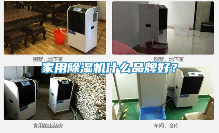 家用除濕機(jī)什么品牌好？
