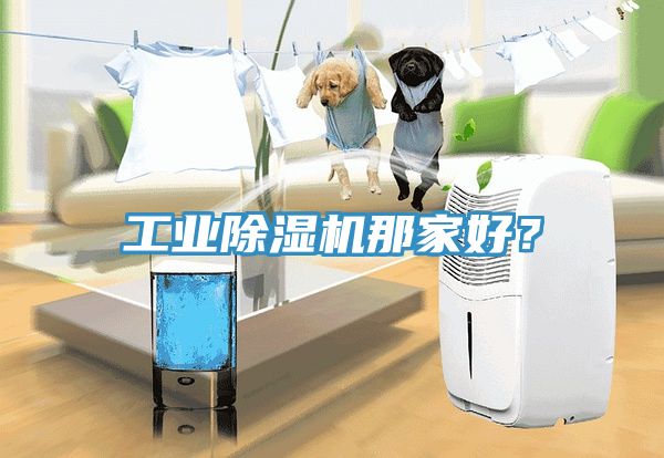 工業(yè)除濕機(jī)那家好？