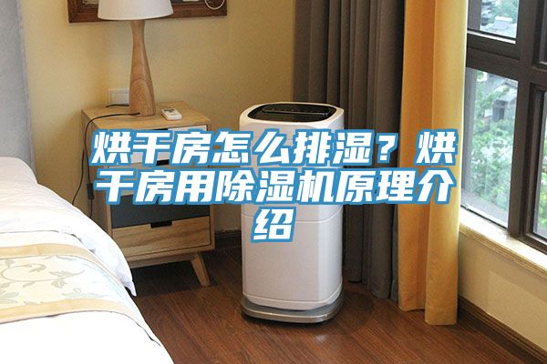 烘干房怎么排濕？烘干房用除濕機(jī)原理介紹