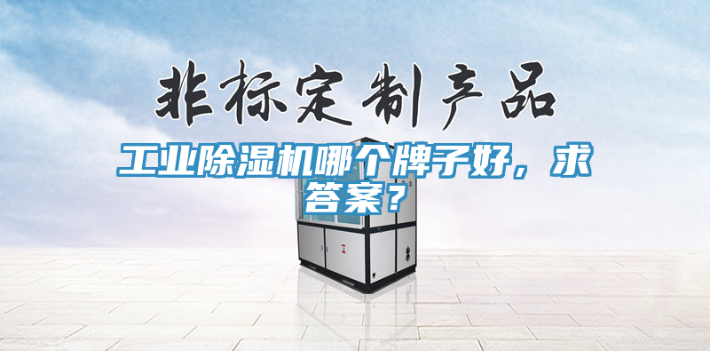 工業(yè)除濕機(jī)哪個牌子好，求答案？