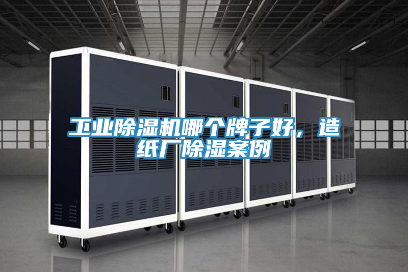 工業(yè)除濕機(jī)哪個牌子好，造紙廠除濕案例