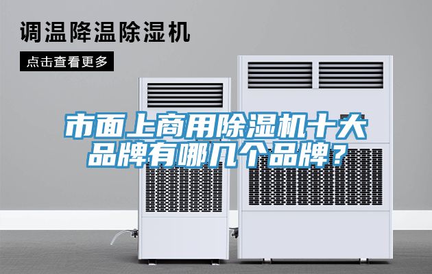 市面上商用除濕機十大品牌有哪幾個品牌？