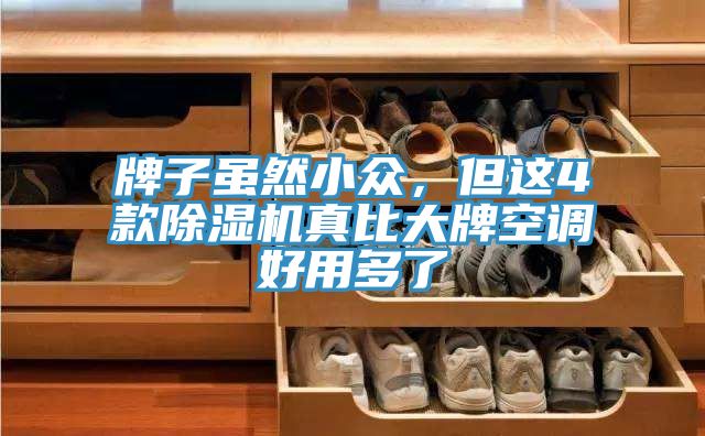 牌子雖然小眾，但這4款除濕機(jī)真比大牌空調(diào)好用多了
