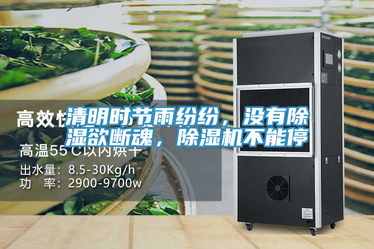 清明時節(jié)雨紛紛，沒有除濕欲斷魂，除濕機不能停