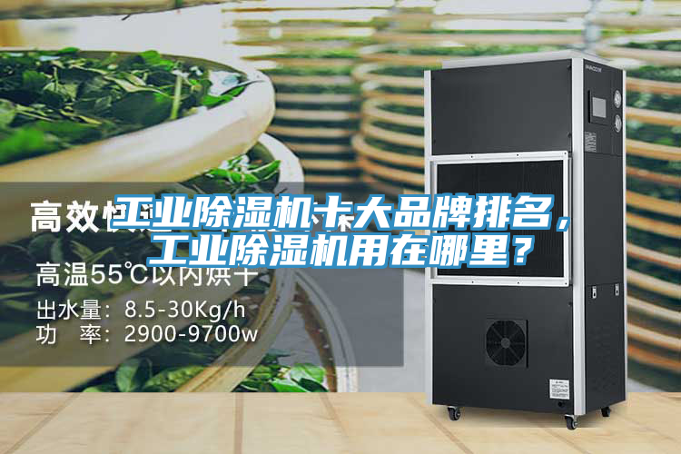 工業(yè)除濕機十大品牌排名，工業(yè)除濕機用在哪里？