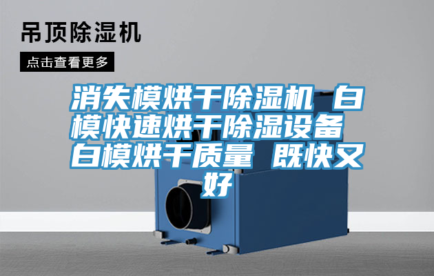 消失模烘干除濕機 白?？焖俸娓沙凉裨O(shè)備 白模烘干質(zhì)量 既快又好