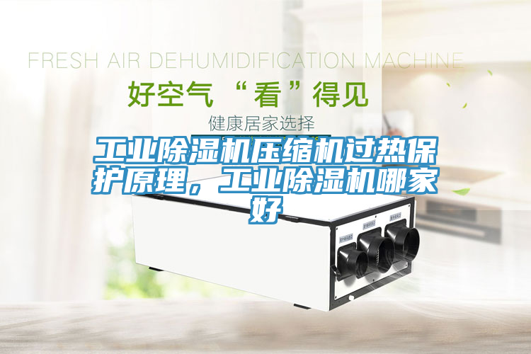 工業(yè)除濕機(jī)壓縮機(jī)過熱保護(hù)原理，工業(yè)除濕機(jī)哪家好