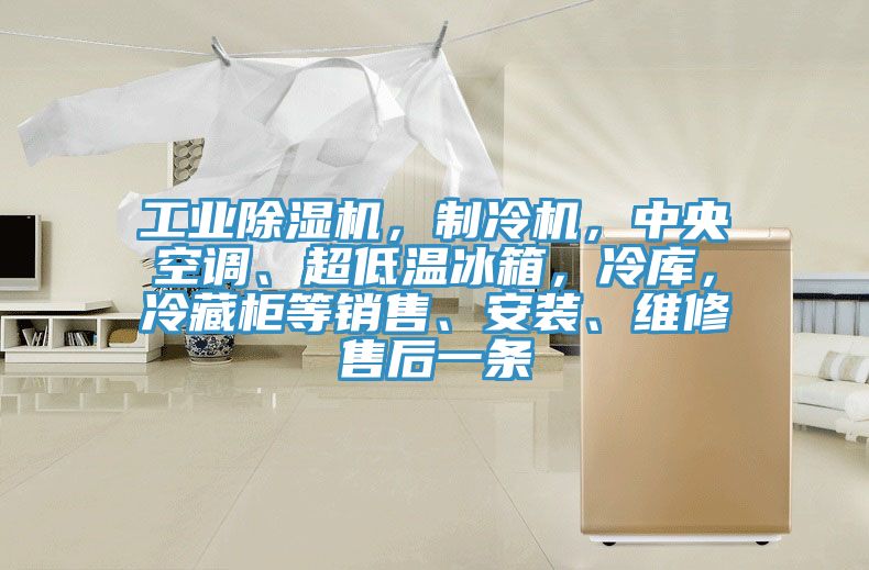 工業(yè)除濕機(jī)，制冷機(jī)，中央空調(diào)、超低溫冰箱，冷庫(kù)，冷藏柜等銷(xiāo)售、安裝、維修售后一條