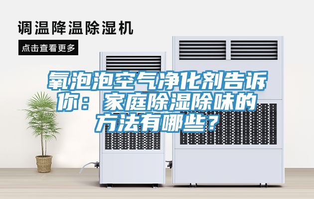 氧泡泡空氣凈化劑告訴你：家庭除濕除味的方法有哪些？