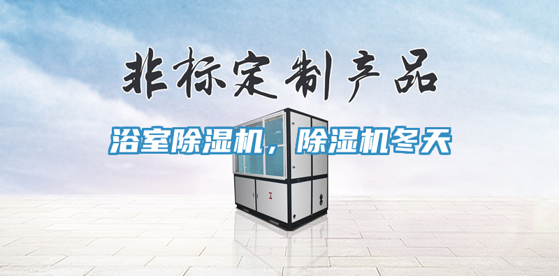 浴室除濕機(jī)，除濕機(jī)冬天
