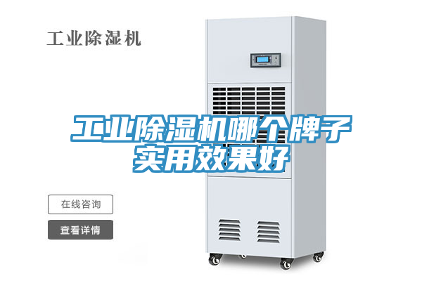 工業(yè)除濕機(jī)哪個牌子實(shí)用效果好