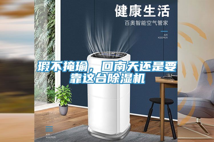 瑕不掩瑜，回南天還是要靠這臺除濕機