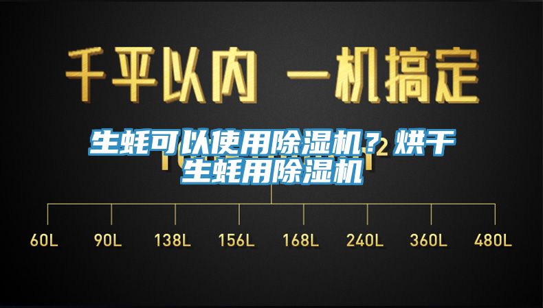 生蠔可以使用除濕機？烘干生蠔用除濕機