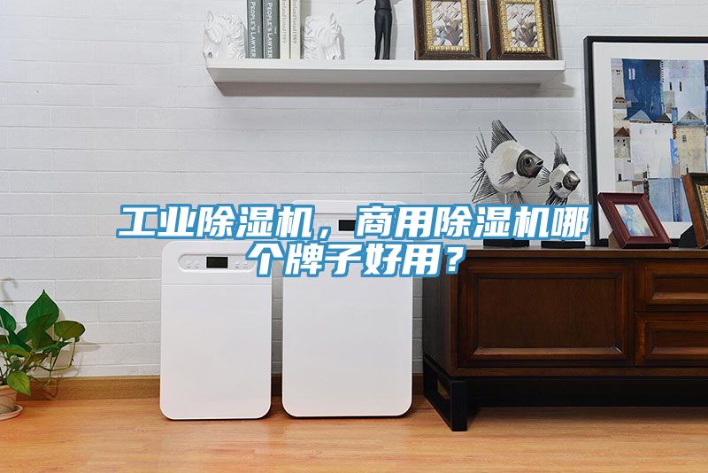 工業(yè)除濕機(jī)，商用除濕機(jī)哪個(gè)牌子好用？