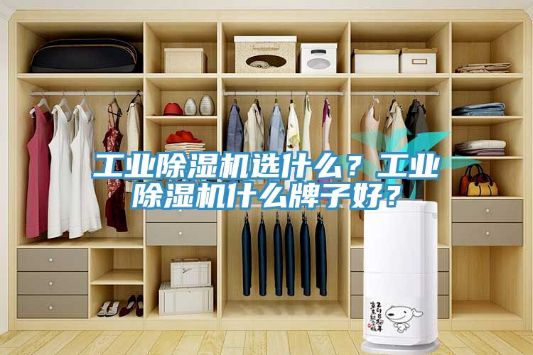 工業(yè)除濕機(jī)選什么？工業(yè)除濕機(jī)什么牌子好？