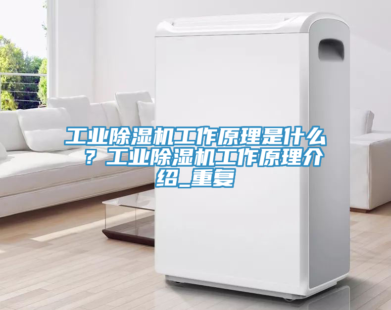 工業(yè)除濕機工作原理是什么 ？工業(yè)除濕機工作原理介紹_重復(fù)