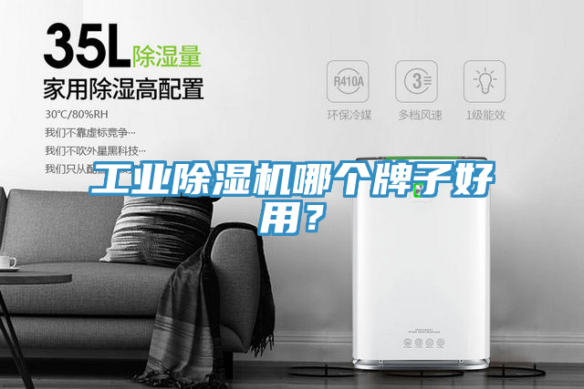 工業(yè)除濕機(jī)哪個牌子好用？