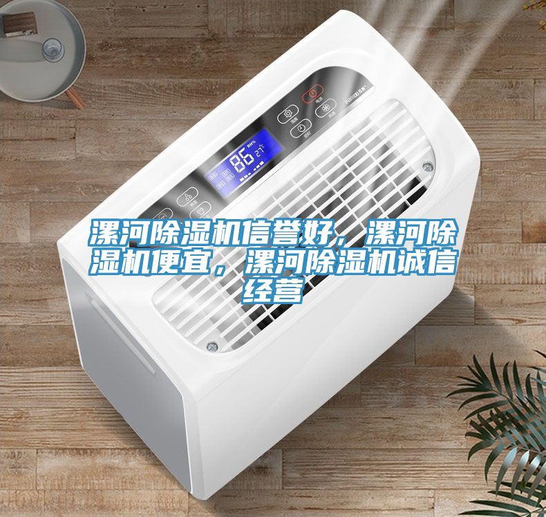 漯河除濕機(jī)信譽(yù)好，漯河除濕機(jī)便宜，漯河除濕機(jī)誠信經(jīng)營