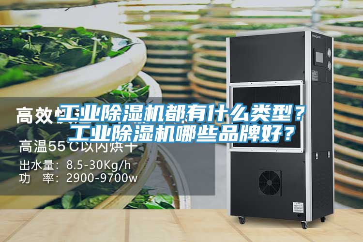 工業(yè)除濕機(jī)都有什么類型？工業(yè)除濕機(jī)哪些品牌好？