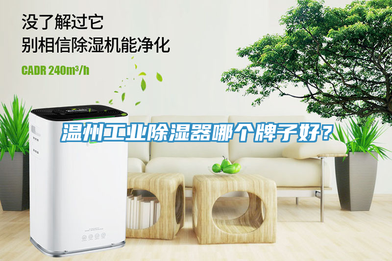 溫州工業(yè)除濕器哪個牌子好？