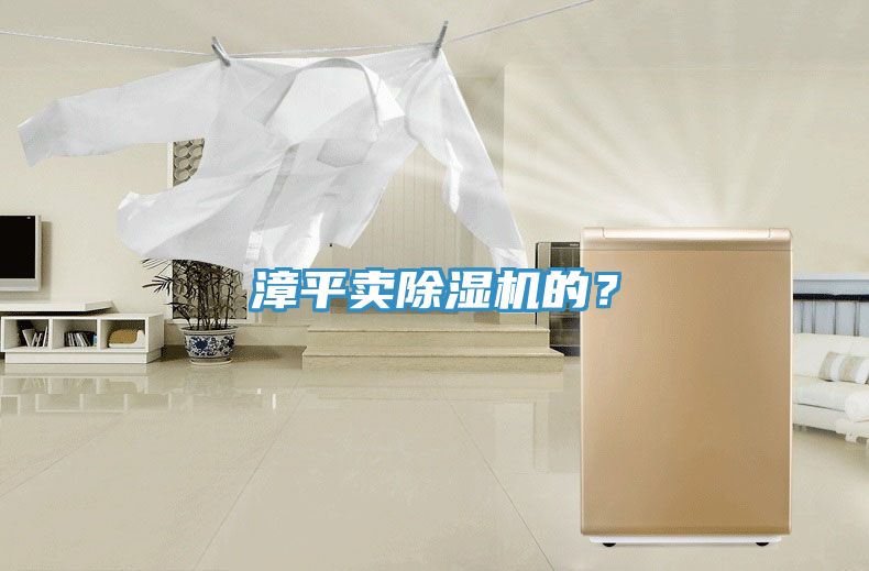 漳平賣除濕機(jī)的？