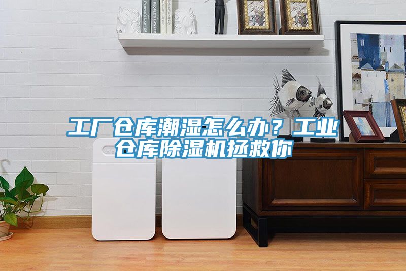 工廠倉庫潮濕怎么辦？工業(yè)倉庫除濕機拯救你