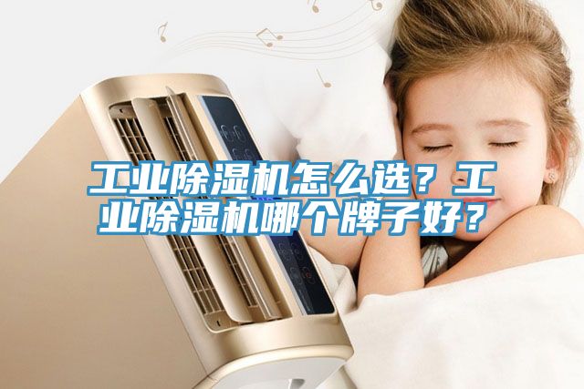 工業(yè)除濕機(jī)怎么選？工業(yè)除濕機(jī)哪個(gè)牌子好？