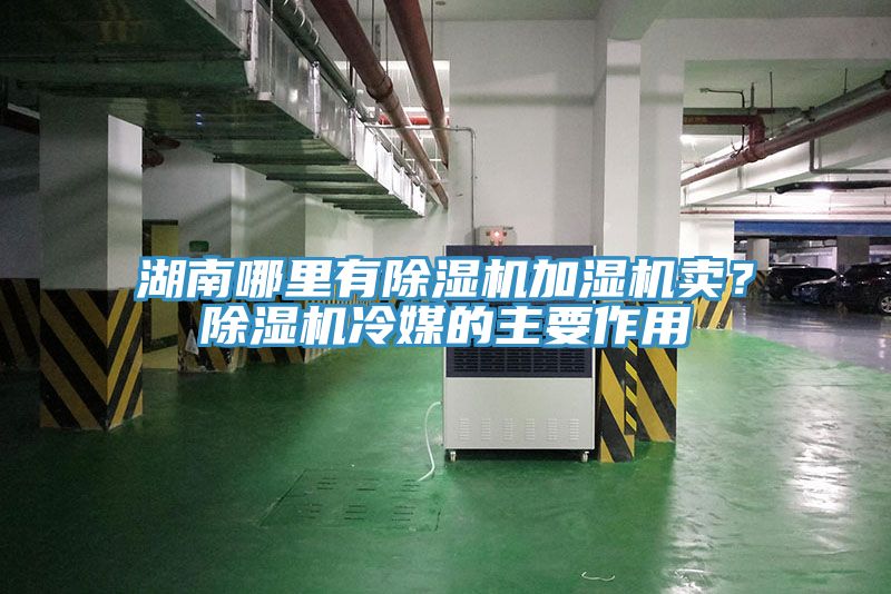 湖南哪里有除濕機(jī)加濕機(jī)賣？除濕機(jī)冷媒的主要作用