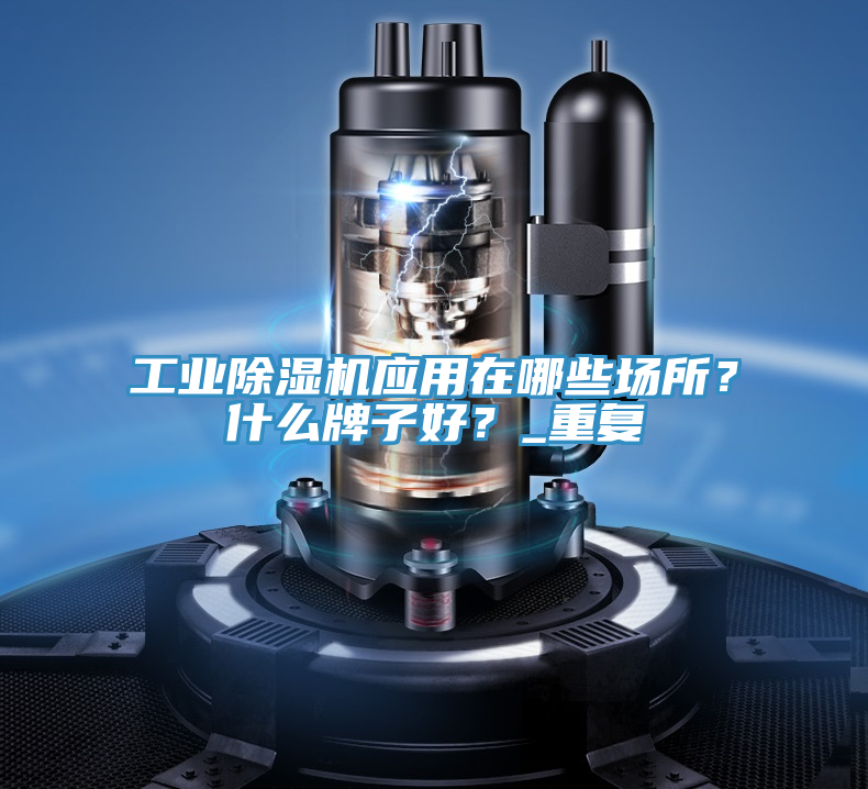 工業(yè)除濕機(jī)應(yīng)用在哪些場(chǎng)所？什么牌子好？_重復(fù)