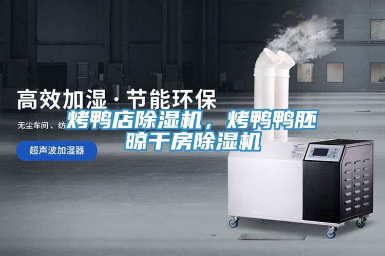烤鴨店除濕機，烤鴨鴨胚晾干房除濕機