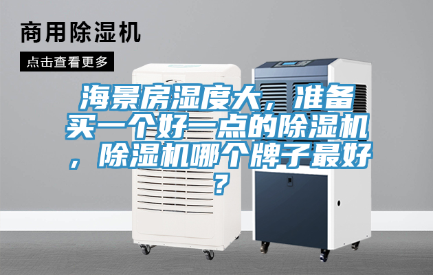 海景房濕度大，準(zhǔn)備買一個好一點的除濕機，除濕機哪個牌子最好？