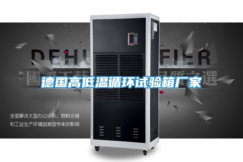 德國(guó)高低溫循環(huán)試驗(yàn)箱廠(chǎng)家