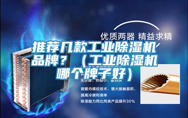 推薦幾款工業(yè)除濕機(jī)品牌？（工業(yè)除濕機(jī)哪個牌子好）