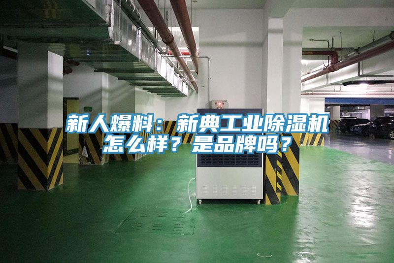 新人爆料：新典工業(yè)除濕機(jī)怎么樣？是品牌嗎？