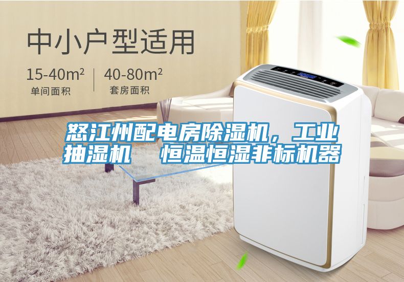 怒江州配電房除濕機(jī)，工業(yè)抽濕機(jī)  恒溫恒濕非標(biāo)機(jī)器