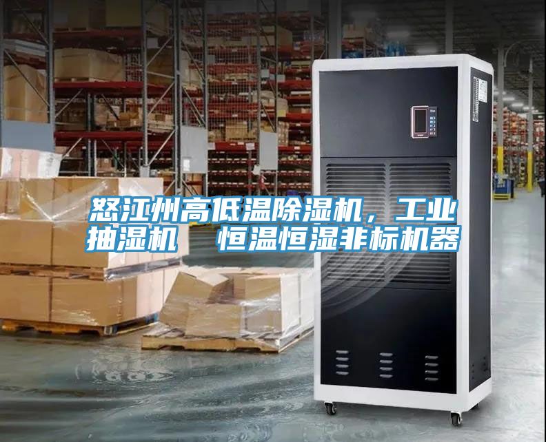 怒江州高低溫除濕機(jī)，工業(yè)抽濕機(jī)  恒溫恒濕非標(biāo)機(jī)器