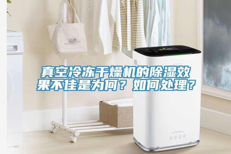 真空冷凍干燥機的除濕效果不佳是為何？如何處理？