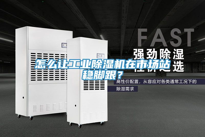 怎么讓工業(yè)除濕機(jī)在市場(chǎng)站穩(wěn)腳跟？