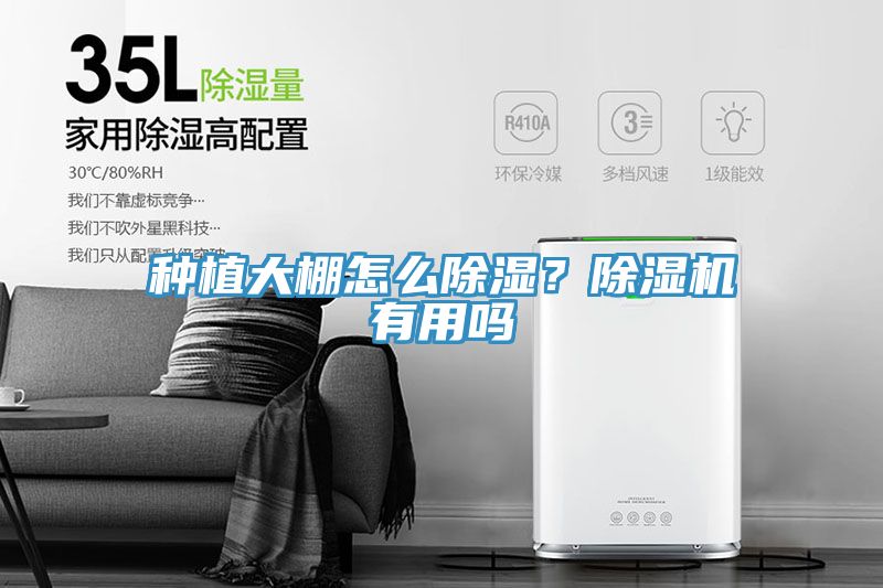 種植大棚怎么除濕？除濕機有用嗎