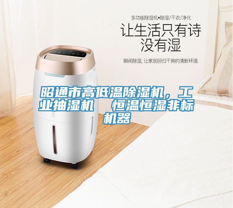 昭通市高低溫除濕機，工業(yè)抽濕機  恒溫恒濕非標機器