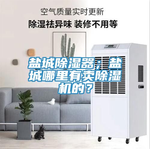 鹽城除濕器；鹽城哪里有賣除濕機(jī)的？