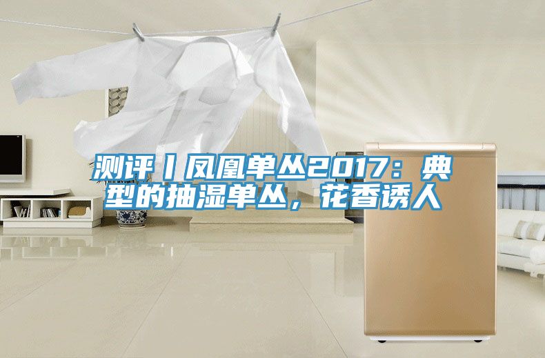 測(cè)評(píng)丨鳳凰單叢2017：典型的抽濕單叢，花香誘人