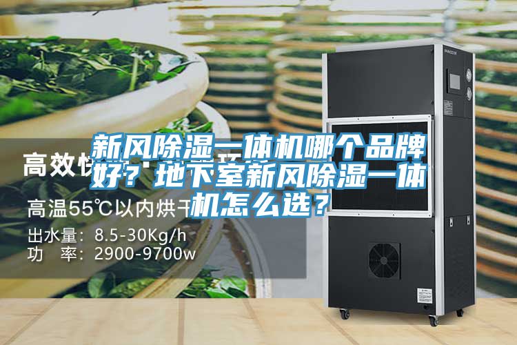 新風(fēng)除濕一體機(jī)哪個(gè)品牌好？地下室新風(fēng)除濕一體機(jī)怎么選？