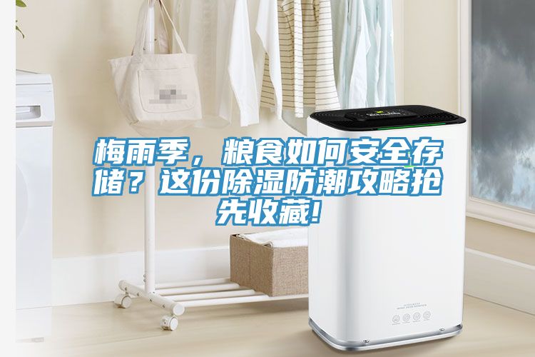梅雨季，糧食如何安全存儲(chǔ)？這份除濕防潮攻略搶先收藏!