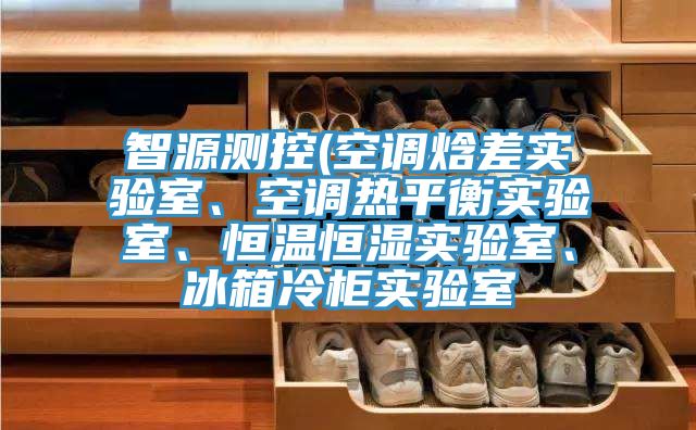 智源測控(空調(diào)焓差實驗室、空調(diào)熱平衡實驗室、恒溫恒濕實驗室、冰箱冷柜實驗室