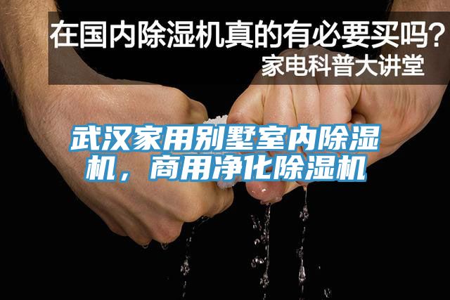 武漢家用別墅室內(nèi)除濕機，商用凈化除濕機