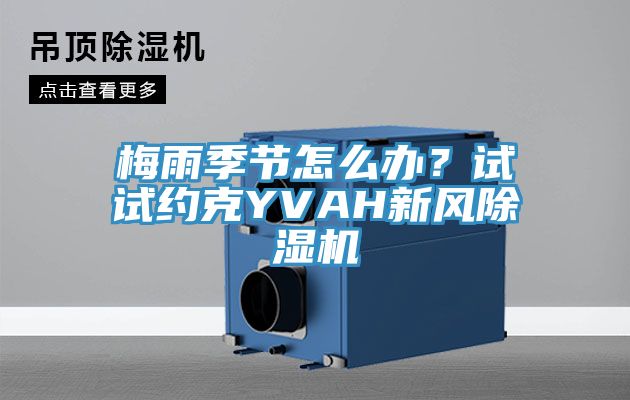 梅雨季節(jié)怎么辦？試試約克YVAH新風(fēng)除濕機(jī)