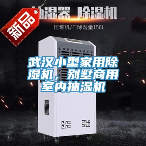 武漢小型家用除濕機，別墅商用室內(nèi)抽濕機