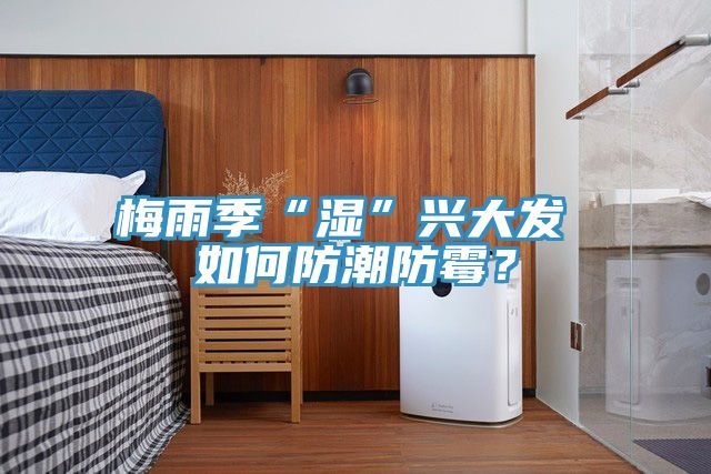 梅雨季“濕”興大發(fā) 如何防潮防霉？