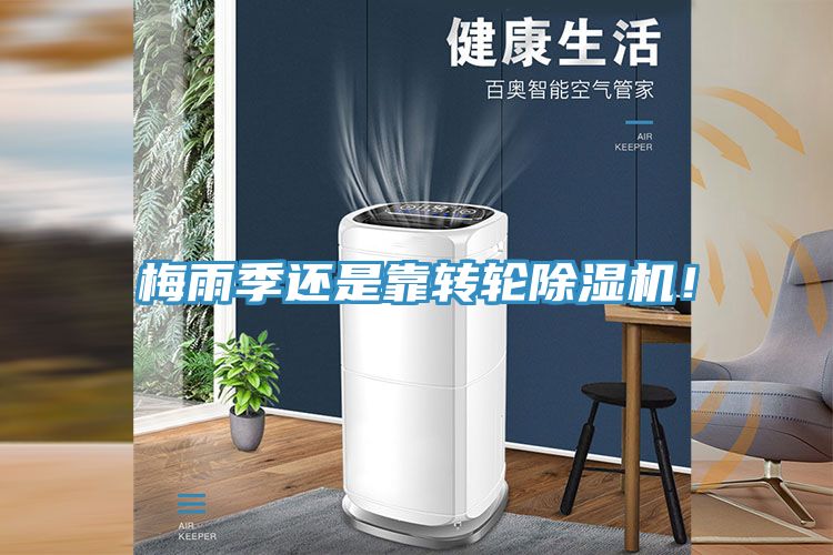 梅雨季還是靠轉(zhuǎn)輪除濕機(jī)！